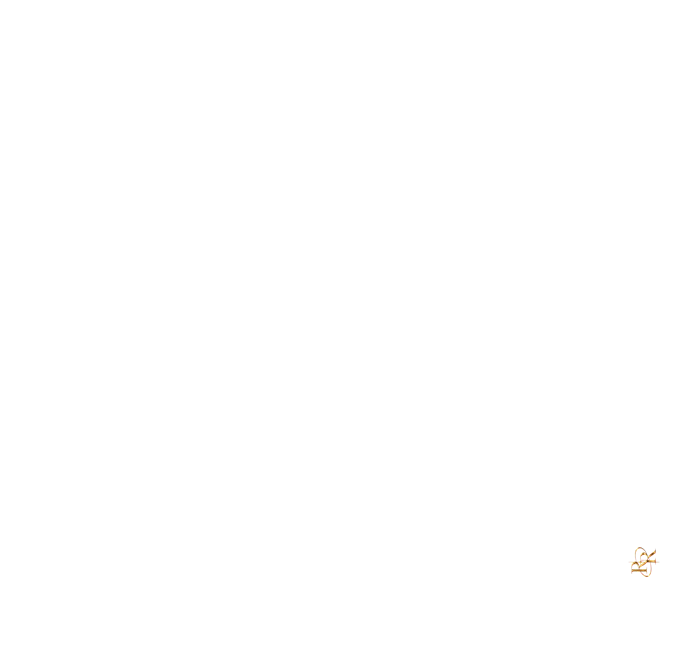 layer1